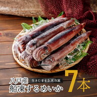 八戸産 船凍するめいか 7杯入 約1.6～1.7kg ／ イカ スルメイカ いか 冷凍イカ 冷凍 船内冷凍 船凍いか …