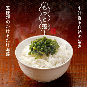 邾C Ƒ 100g 1pbN т̂Ƃ ^ z ߂ 킩 s킩 AJN C CN Nu RHi tRC_ Hׂ т̂ Ⓚ ʔ  lC 