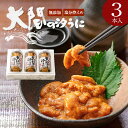 無添加 塩うに 大間の汐うに 60g×3本入 〈送料無料〉ムラサキウニと塩のみでつくった甘塩の瓶詰め塩雲丹 ギフト セッ…