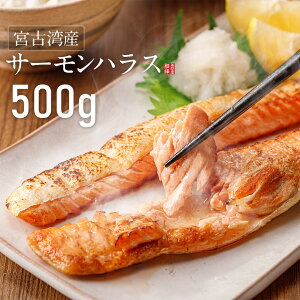 茧Y T[nX 500g  Ɩp {ÃgEgT[ Ⓚ ЉH ^ T[ nX nX Y  }X  V[t[h O TP {B nT[ lC ʔ 