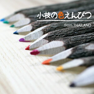 ^CA [ | y}̐F҂z 10{Zbg FM [ 낢 i` yyΉzybsOΉz