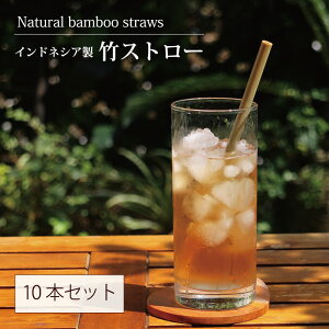 |Xg[ VR| yChlVAEou[Xg[10{ZbgzĎg |̃Xg[ GR 20cmy[֑ΉzybsOΉz