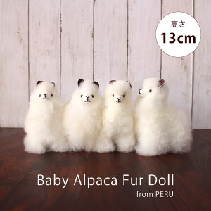 xr[ApJ }XRbgy y[Exr[ApJl` 13cm zl` ʂ  Aj}ybsOΉz