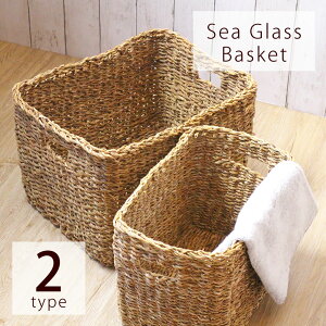 [  oXPbgy V[OX̃XgbJ[oXPbgiS/Ljz傫 [  rO [   D CeA Rf