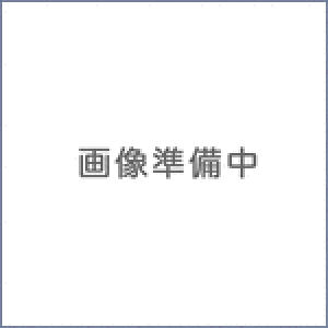  @pR RM10 yHEF-AL300E-002 [drʔ]z