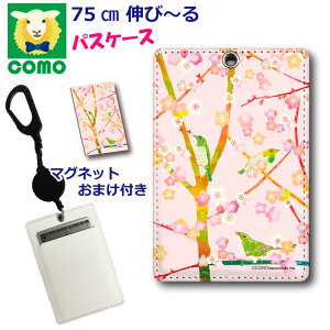 yX[p[Z[ z pXP[X [t Aj}  qp Z w Љl P[X ̎q Lт [ J[h  COMOfUC ~Ƃ t̖K 