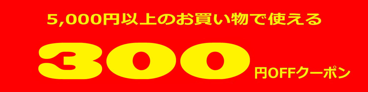 300円OFFクーポン 5000円以上のお買い物で使える iPhone17 iPhone 16e iPhone16 iPhone15 iPhone14 iPhone13 iPhone12 iPhone11 iPhoneSE 第3世代