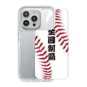 y9/15܂ 10%OFFN[|z iPhone 16e TPUPCP[X iPhone17 X}zP[X ϏՌ iPhone17 Air iPhone16 16 Pro iPhone15 14 13 ObvP[X X}zJo[ 싅 D {[ Se