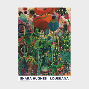 A0 CWAip |X^[ Shara Hughes - Pop (2021) - A0 format [ k CeA  A[g  Ǌ| G ۉ i ]