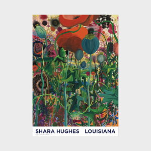 A1 CWAip |X^[ Shara Hughes - Pop 2021 - A1 format [ k CeA  A[g  Ǌ| G ۉ i ]
