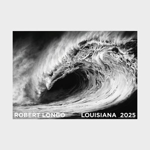A0 CWAip |X^[ Robert Longo - Untitled (Helion) 2011 [ k CeA  A[g  Ǌ| G ۉ i ]