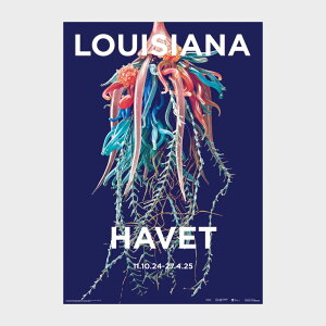 �y������T����zA1�|�X�^�[ Leopold & Rudolph Blascka ? Physophora myzonema. Siphonophore. Glass (1860-1890)