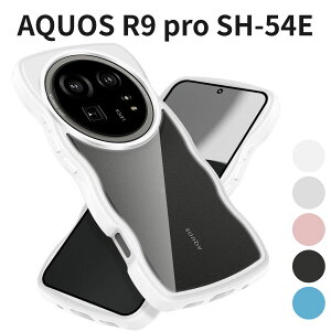 AQUOS R9 pro SH-54E P[X 킢 NA ϏՌ gt[ ˂  Jo[ h~ ~ X}zP[X q CX[dΉ zCg
