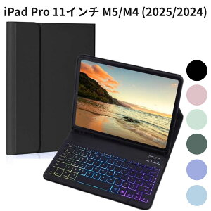 iPad Pro 11�C���` M5/M4 (2025/2024) RGB�o�b�N���C�g �L�[�{�[�h�P�[�X �����^ �}�O�l�b�g������ �y�����[ �u���b�N