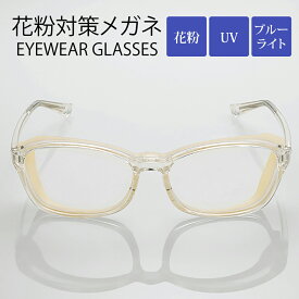 【在庫限り】 眼鏡 ブルーライトカット メガネ めがね 花粉症 花粉対策 保護 防止 軽減