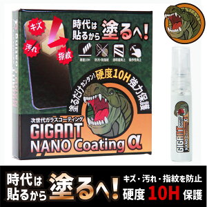 X}z R[eBO KXR[eBO t KXtB t̕یtB GIGANT NANO Coating iMKgR[eBOj 5ml 10H 쐫 wh~ h~ h~ ʕی tیt