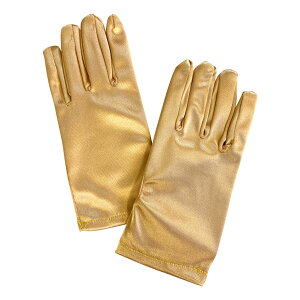 y[zy󂠂zyszOTR1651 _Xߑ qTeO[u V[g^Cv LbY_X n    RXv }WbN  p[eB[ LbY Xgb`f V