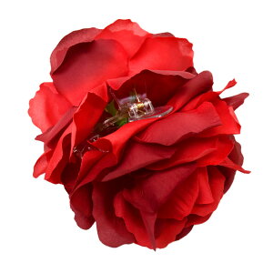 y[zRT[W  KN 傫 wANbv t_X  Ќ_X ANZT[ x[_X T52186 fB[X/K[Y oXNbv/a12cm kn PNF