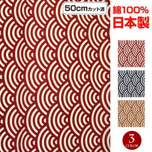 y[zJbgNX n a (110cmx50cmJbg) z _X ߑ 悳  W  x zn n | nM JP4203  S3F [M 1/6]