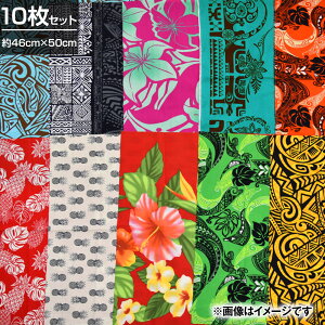 y[zy󂠂z AEgbgn nC oGeB[ ͂ꂨ܂10Zbg 46cmx50cm JbgNX LE210227  n ԕ ͂Zbg pb`[N   G n