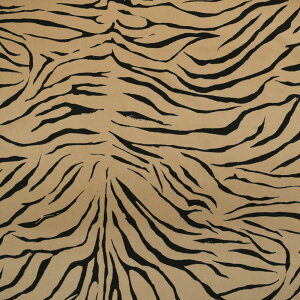 y[zn W [un (152cmx50cmP) z n Aj}  vgn n ߑn CeAn nhCh |   NbV  _炩 u