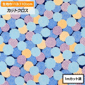 y[zn a ԕ(113cm×1mJbg) z   䂩 rq a TUNXvg 悳 x  Gv pb`[N  nhCh ٖD TT  