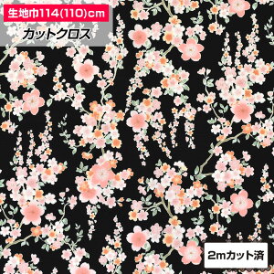 y[zn a(114cm×2mJbg) z ԕ    䂩 rq a 悳 x  Gv pb`[N  nhCh ٖD l` ۃV^ { 100% u