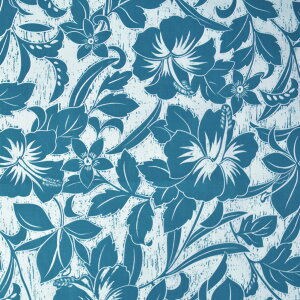 y[zyAEgbgnzn nC nCAn(113cmx50cmJbg) z nCrXJX ԕ n nCAvgn pEXJ[gn n NbVJo[ J[