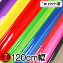 【即納】透明カラービニール生地 (約120cm巾x1mカット済) (厚さ約0.3mm) クリアカラー生地 ハンドメイド ビニール 生地 ビーチバッグ テーブルクロス 小物 防水/撥水/透明/ビニル素材/ブラック-レッド-ピンク-ブルー-グリーン-パープル-イエロー L36CJ60