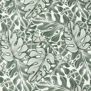 y[zn nC nCAn(n 113cm) V[`On z nCn n nCAvgn CeAn pEXJ[g NbVJo[ obO ȍ n/