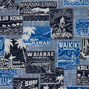 y[zn nC nCAn(114cmx50cmJbg) V[`On z CLL nCn n nCAvgn CeAn NbVJo[ obO ȍ 