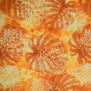 y[zn nC nCAn(113cmx1mJbg) Xe V[`On z nCn n nCAvgn CeAn pEXJ[g NbVJo[ 