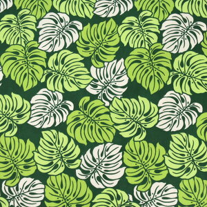 y[zn nC nCAn(113cmx2mJbg) Xe [t t V[`On z nCn n nCAvgn CeAn pEXJ[g NbV