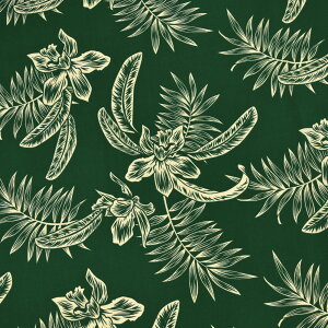 y[zn nC nCAn(n 113cm) V[`On z nCn n nCAvgn CeAn pEXJ[g NbVJo[ obO ȍ n/