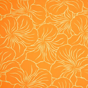 y[zn nC nCAn(n 113cm) V[`On z nCn n nCAvgn CeAn pEXJ[g NbVJo[ obO ȍ n/