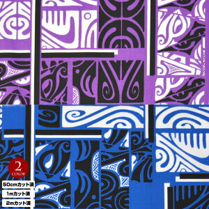 y[zn nC nCAn(n 113cm) V[`On z nCn n nCAvgn CeAn pEXJ[g NbVJo[ obO ȍ n/