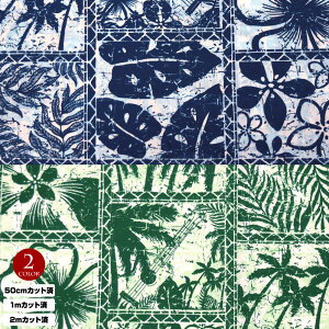 y[zn nC nCAn(n 113cm) V[`On z nCn n nCAvgn CeAn pEXJ[g NbV obO ȍ n/50cmJ