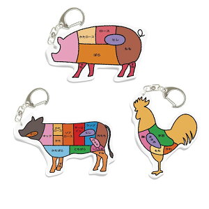 ANL[z_[ ̕  ؓ  { }  u^ EV g ~[g fUC ܂Ƃߔ Zbg  L[z_[ 킢 ANL[ ʔ ڗ h 