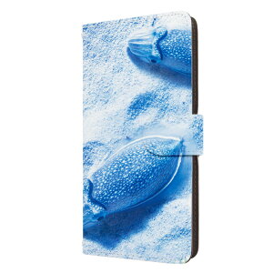 AQUOS sense9 P[X 蒠^ ANIXZX9 Jo[ C̐    킢 X}zP[X X}zJo[ Y fB[X gуP[X gуJo[ 蒠P[X 蒠Jo[