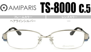 A~p AMIPARIS Kl ዾ ɒB Vi @pbh  wACVo[ ts-8000 c.5 ap045