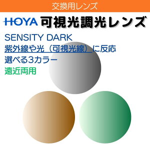 【レンズ交換 フレーム持ち込み交換用】 HOYA 可視光調光 遠近両用レンズ (2枚一組) センシティ ダーク SENSITY DARK センシティ シャイン SENSITY SHINE 1.60 1.67 スペクティーHG シンクロ ウェルナ オ