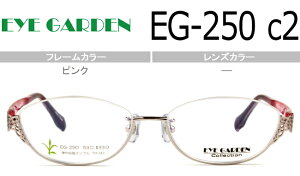 ACK[f EYEGARDEN EG-250 c.2 sN @pbh A_[ t[ x xt Kl ዾ Vi 