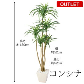 楽天市場 アウトレット 観葉植物 花 観葉植物 花 ガーデン Diyの通販