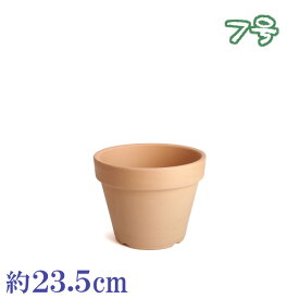 楽天市場 鉢 テラコッタ 安いの通販