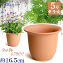 丈夫で長持ち 植木鉢 陶器 HW尻丸鉢 5号 素焼 サイズ 16.5cm 常滑焼 陶器鉢 深型 おしゃれ 肌色 テラコッタ 高級感 日本製 プランター 園芸資材 ガーデニング 大型 小型 室内 屋内 屋外 日本製 かわいい 園芸用品