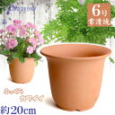 丈夫で長持ち 植木鉢 陶器 HW尻丸鉢 6号 素焼 サイズ 20cm 常滑焼 陶器鉢 深型 おしゃれ 肌色 テラコッタ 高級感 日本製 プランター 園芸資材 ガーデニング 大型 小型 室内 屋内 屋外 日本製 かわいい 園芸用品