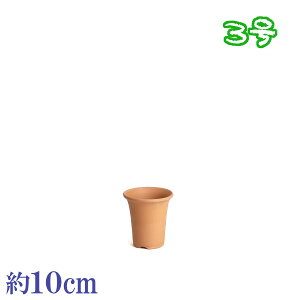 Aؔ   TCY 10cm ĐAɗǂ fĕ 3