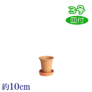 Mt fĕ f 3  HOM 3 f { O͏ Aؔ   c TCY 10cm ďv   ƒ؉ K[fjO  i` k K[f a AWA