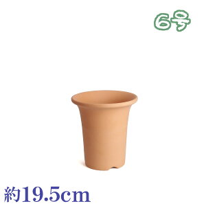 Aؔ   TCY 19D5cm ĐAɗǂ fĕ 6