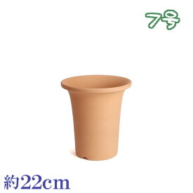 【訳あり特価】 植木鉢 陶器 おしゃれ サイズ 22cm 安くて植物に良い鉢 素焼並ラン鉢 7号